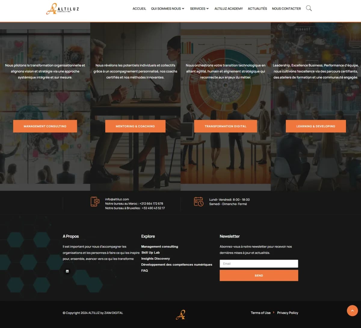 Site web Altiluz Consulting